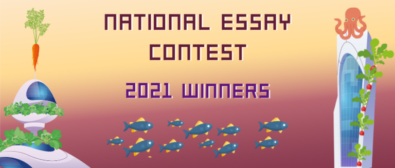 National essay contest 2021 winners