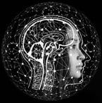 bilinguisme-structure-cerveau