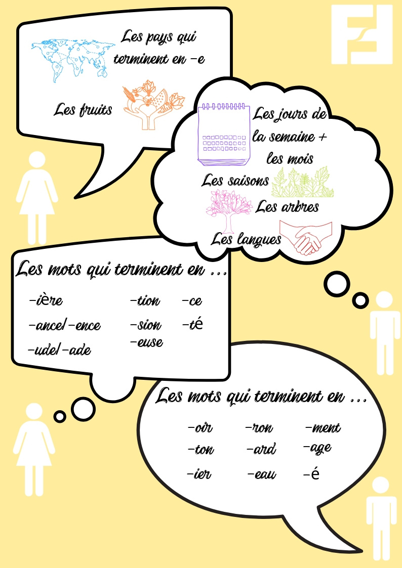 règles-des-articles-en-francais