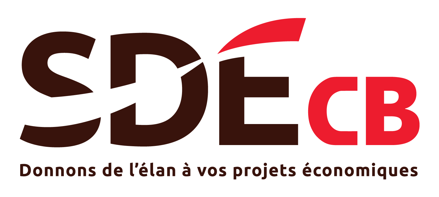 SDE_Logo_Colour