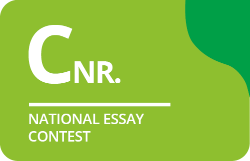 Logo-rectangle-CNR-EN